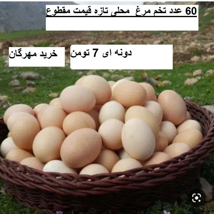 تخم مرغ محلی تازه با کیفیت وآویشن وچای کوهی|خوردنی و آشامیدنی|قزوین, |دیوار