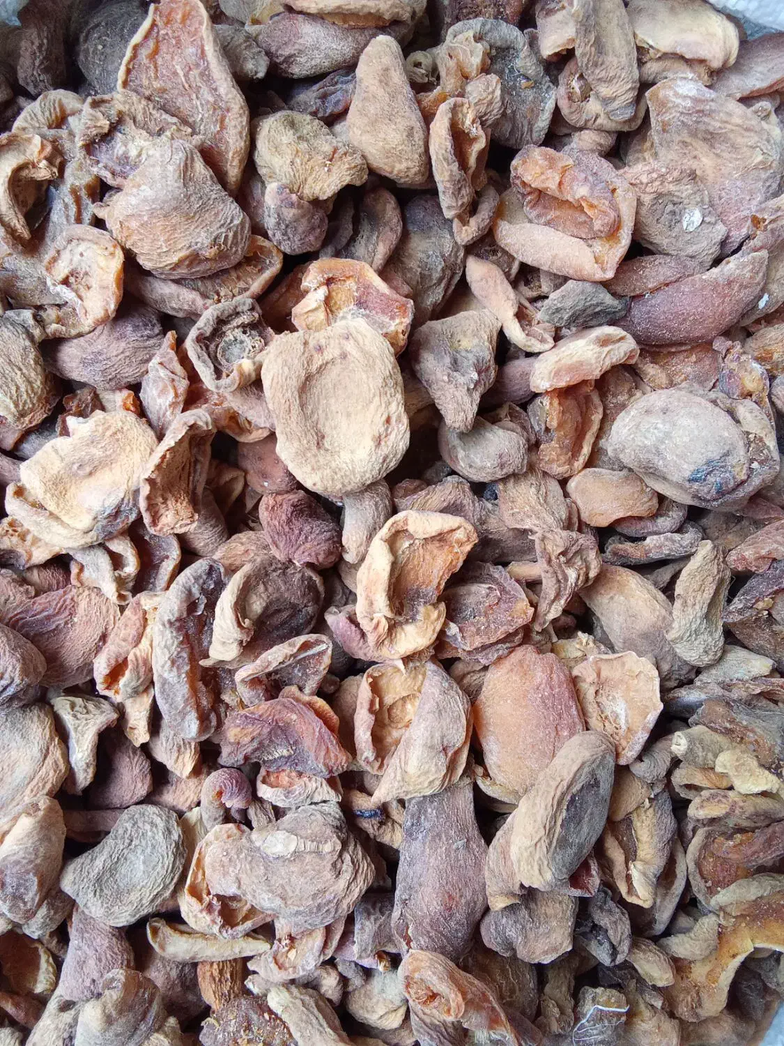 برگه زردآلو یک دست ترش و ملس|خوردنی و آشامیدنی|قم, حاج زینل|دیوار