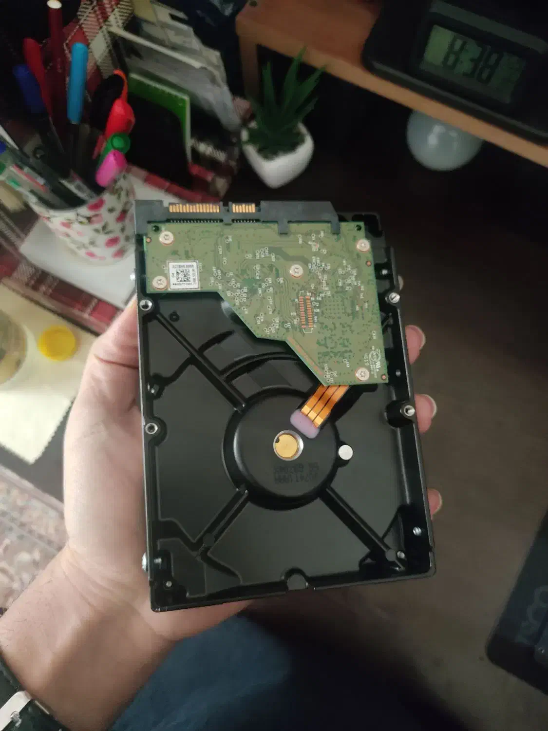 هارد ۲ترابایت آبی وسترن دیجیتال|قطعات و لوازم جانبی رایانه|بومهن, |دیوار