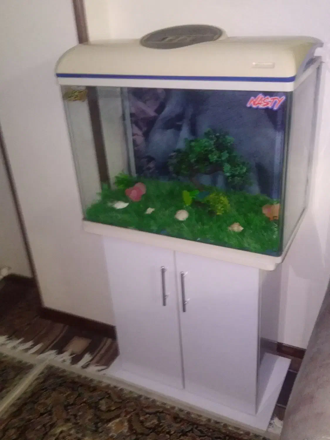 زیبا وتمیز با پایه درحد نو بادماسنج دیجیتالی درب|ماهی|تهران, گلچین|دیوار