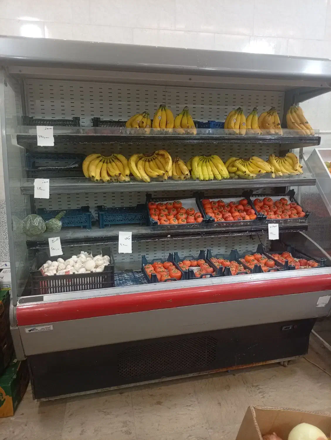 یخچال ویترینی|فروشگاه و مغازه|اردبیل, |دیوار