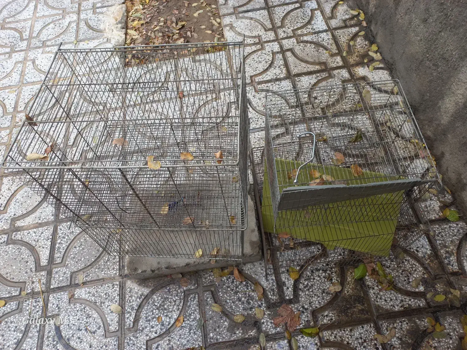 قفس پرنده|لوازم جانبی حیوانات|بروجرد, |دیوار