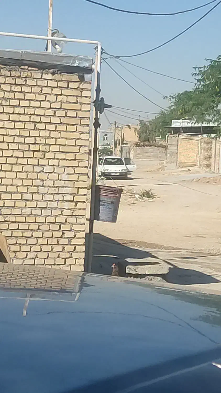 فروش ۱۶۰۰ متر زمین داخل شهر|فروش زمین و ملک کلنگی|دهلران, |دیوار