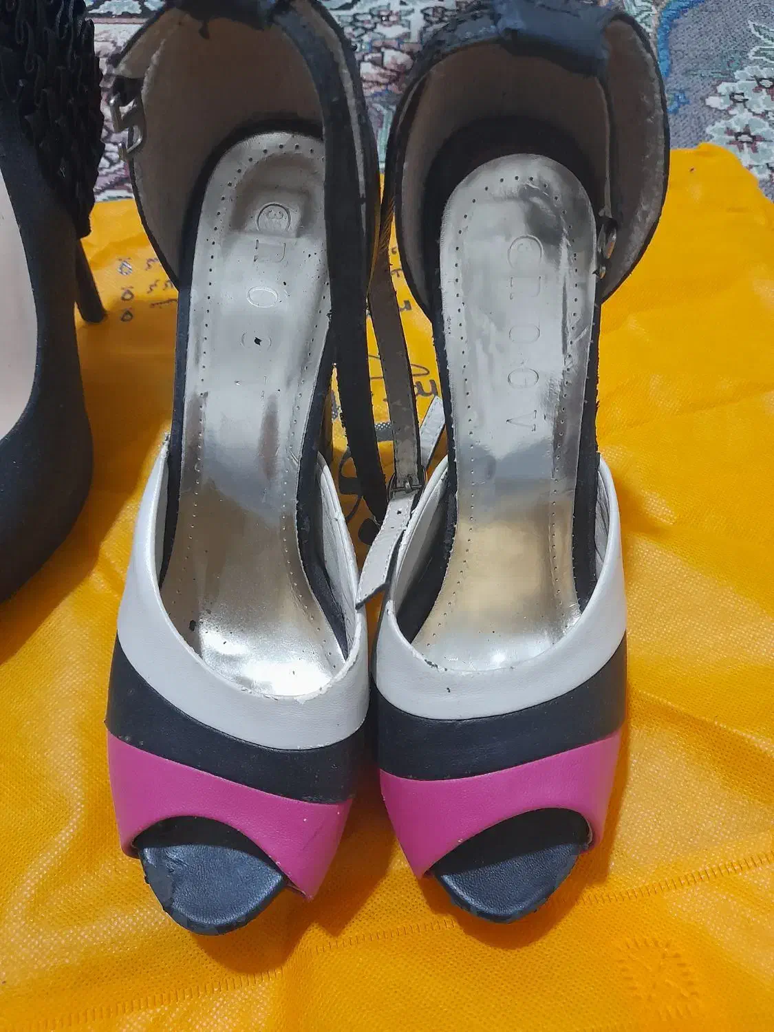 کفش مجلسی زیبا و شیک|کیف، کفش، کمربند|تربت جام, کشتارگاه|دیوار