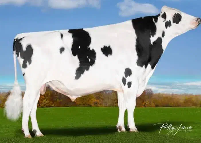 استخدام کارگر|استخدام صنعتی، فنی، مهندسی|بناب, |دیوار