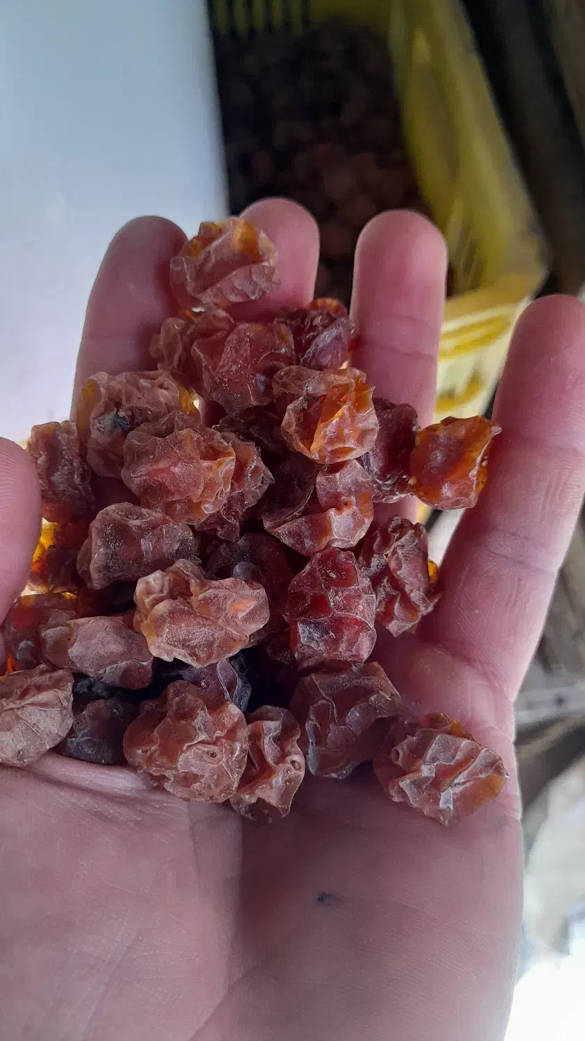 آلوچه خشک|خوردنی و آشامیدنی|گوگان, |دیوار