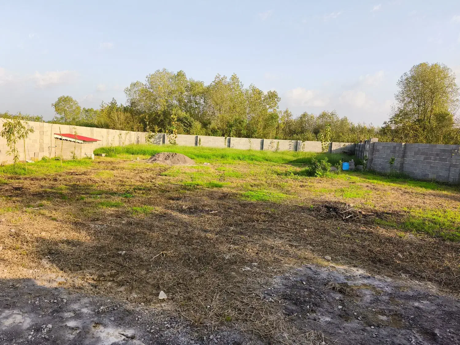 فروش زمین مسکونی|فروش زمین و ملک کلنگی|خمام, |دیوار