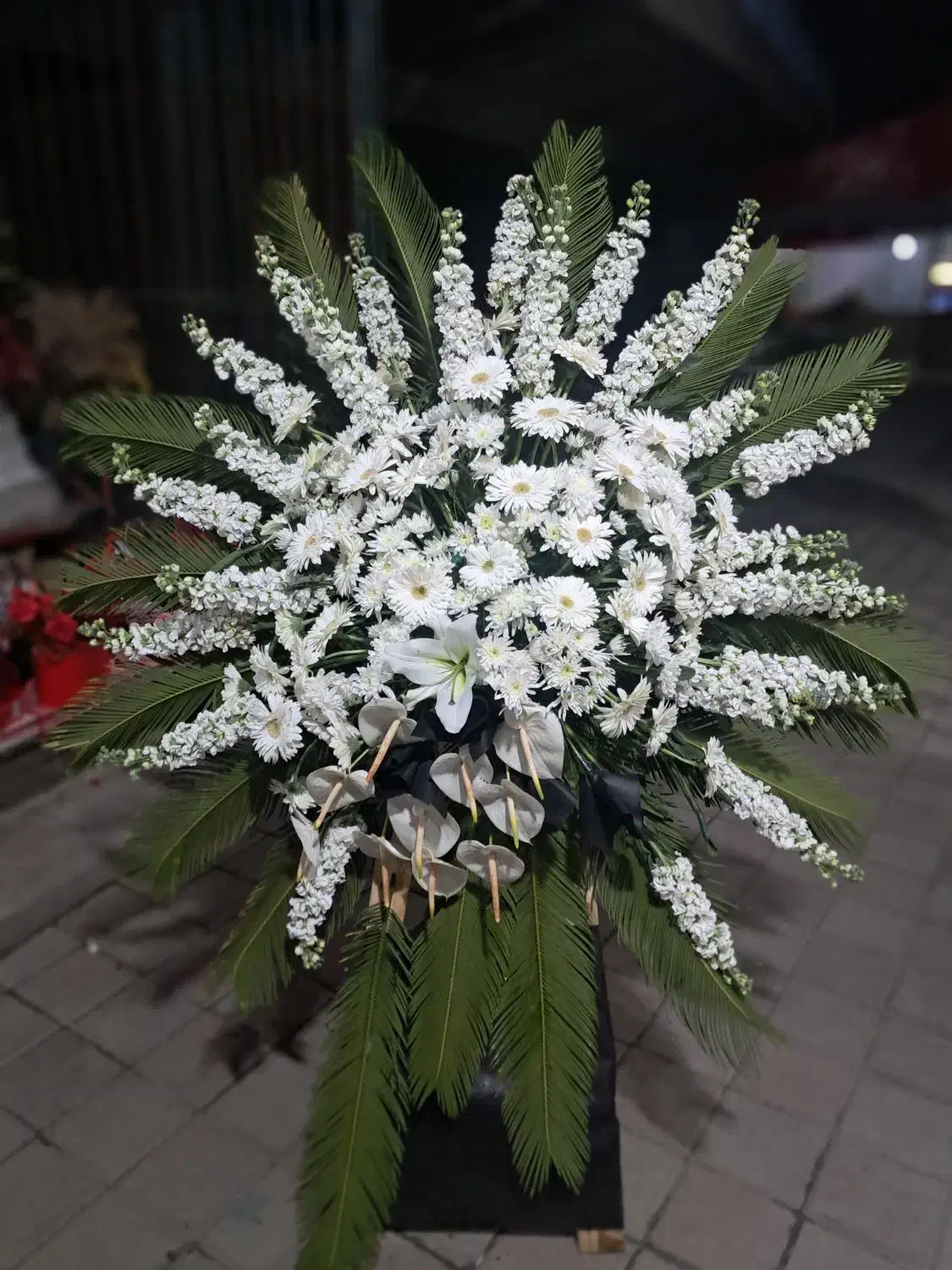 تاج گل|گل و گیاه طبیعی|تهران, دبستان|دیوار