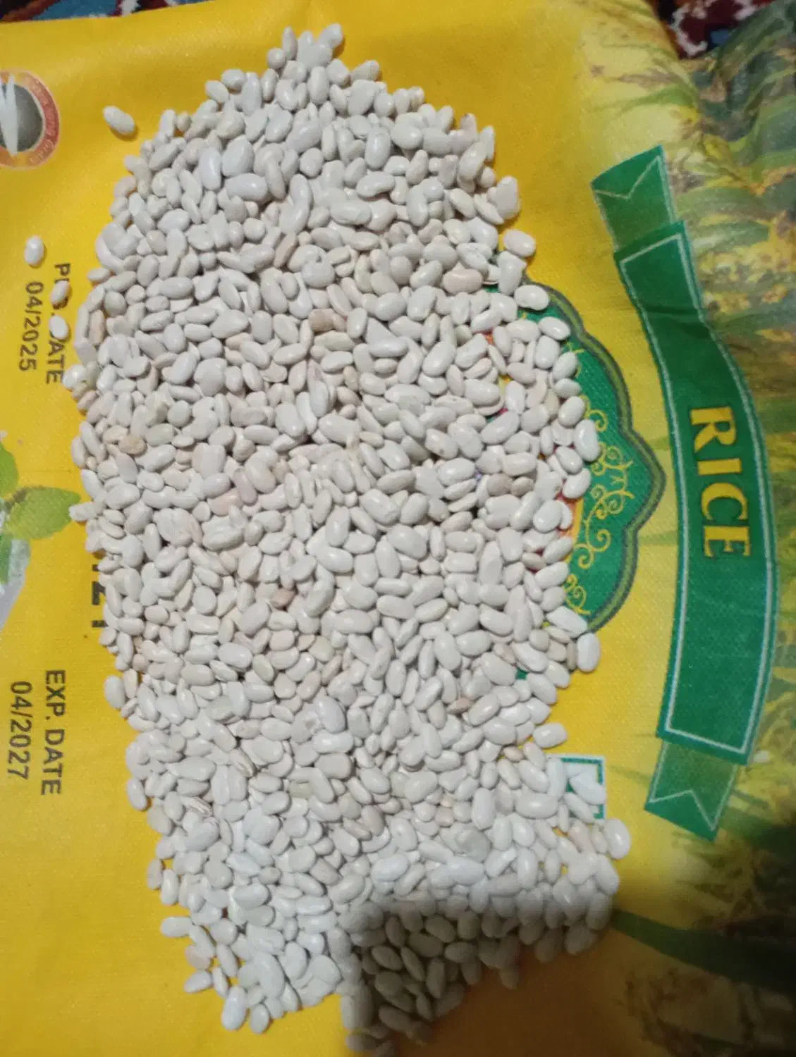 لوبیا سفید|گل و گیاه طبیعی|دینور, |دیوار