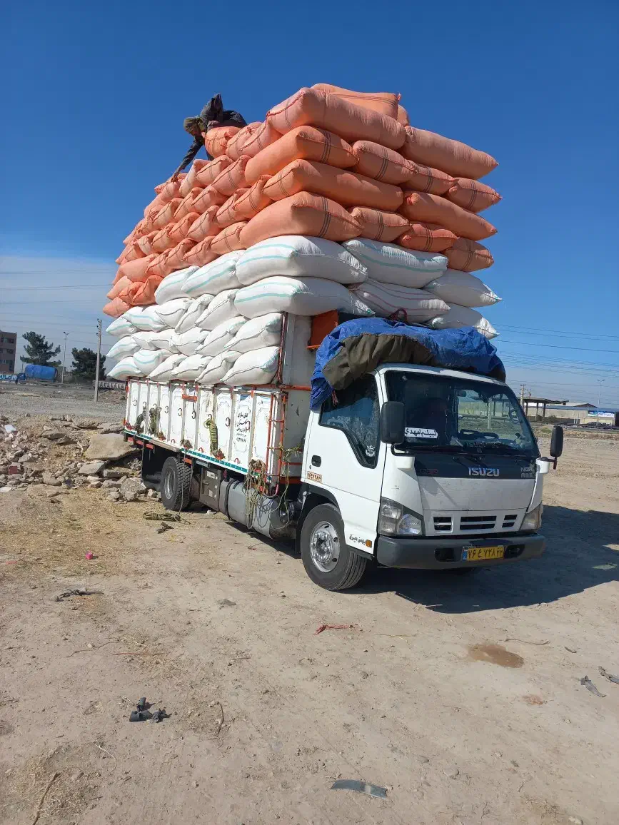 خرید وفروش  نهاده دام|خدمات باغبانی و درختکاری|سبزوار, امیر کبیر|دیوار