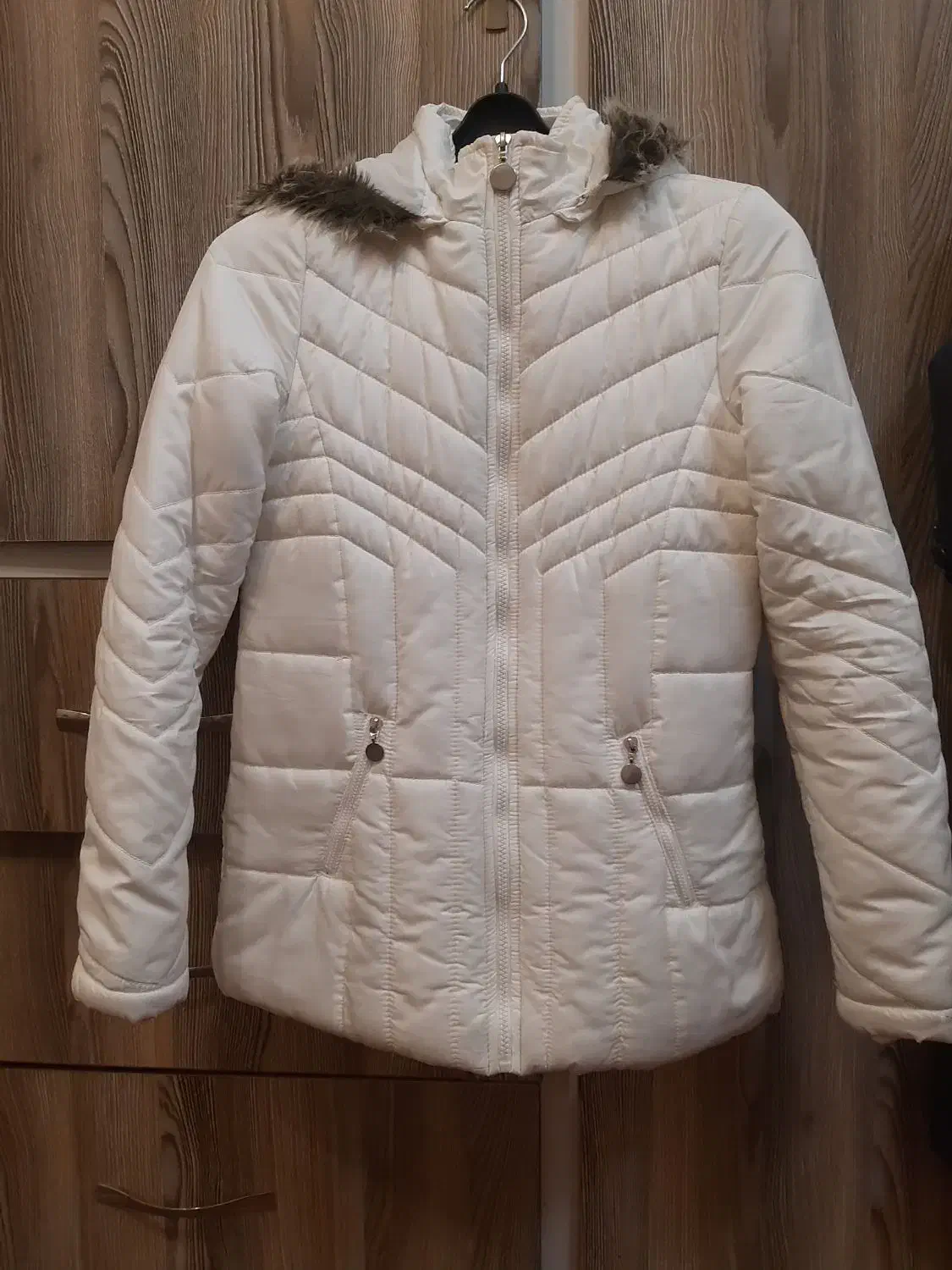 کاپشن|لباس|شیراز, باغ تخت|دیوار