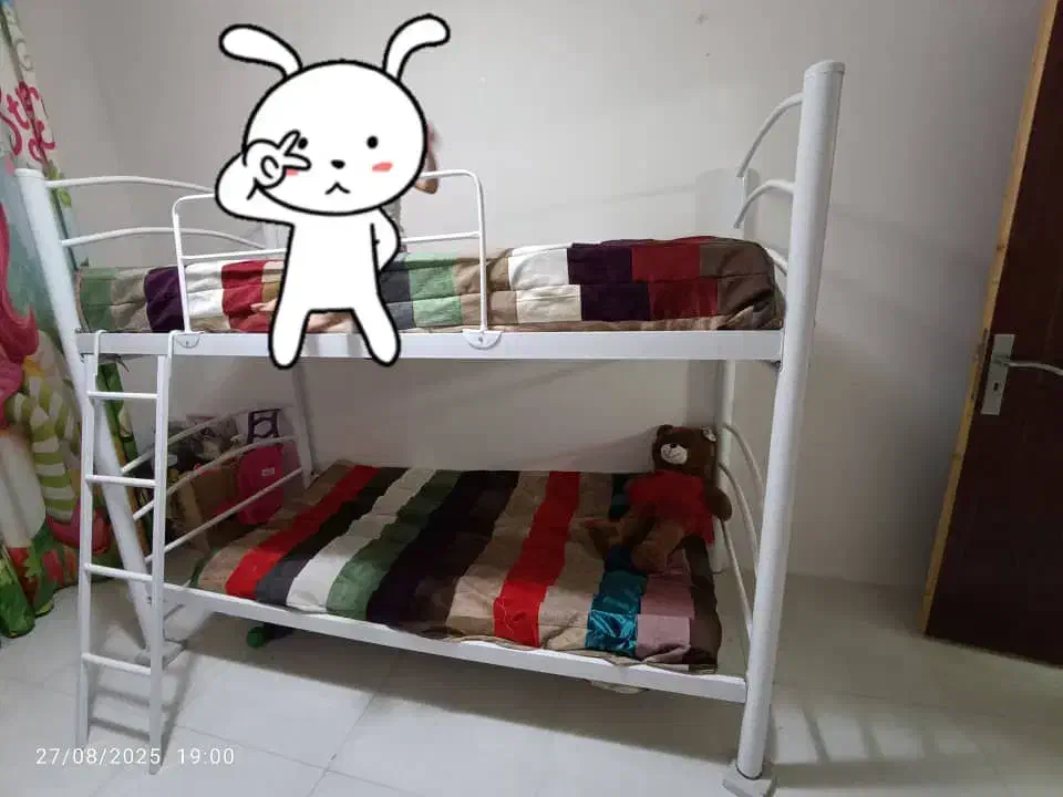 تخت دو طبقه|تخت و سرویس خواب|سبزوار, علمدار|دیوار