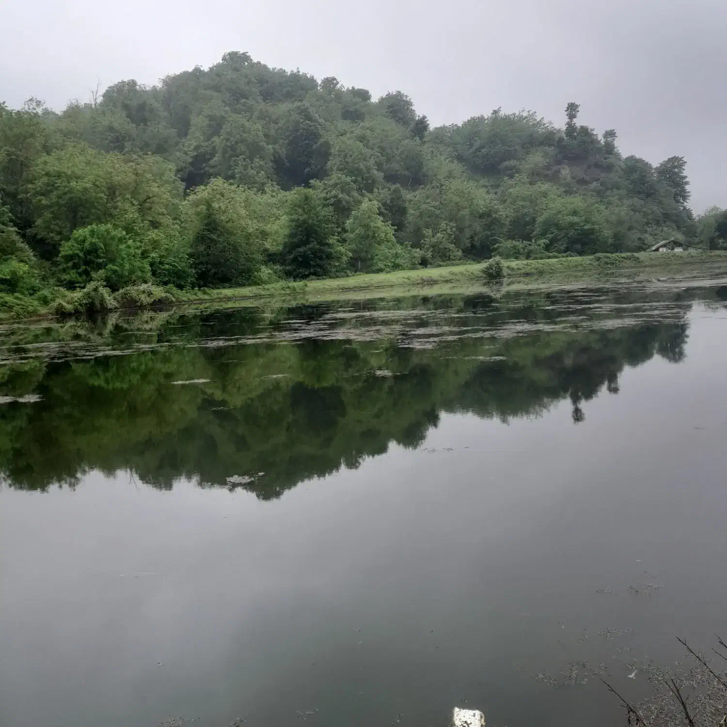 سویت۶۰متریطبقههمکفدربکوچکماسال|اجارهٔ کوتاهمدت ویلا و باغ|ماسال, |دیوار