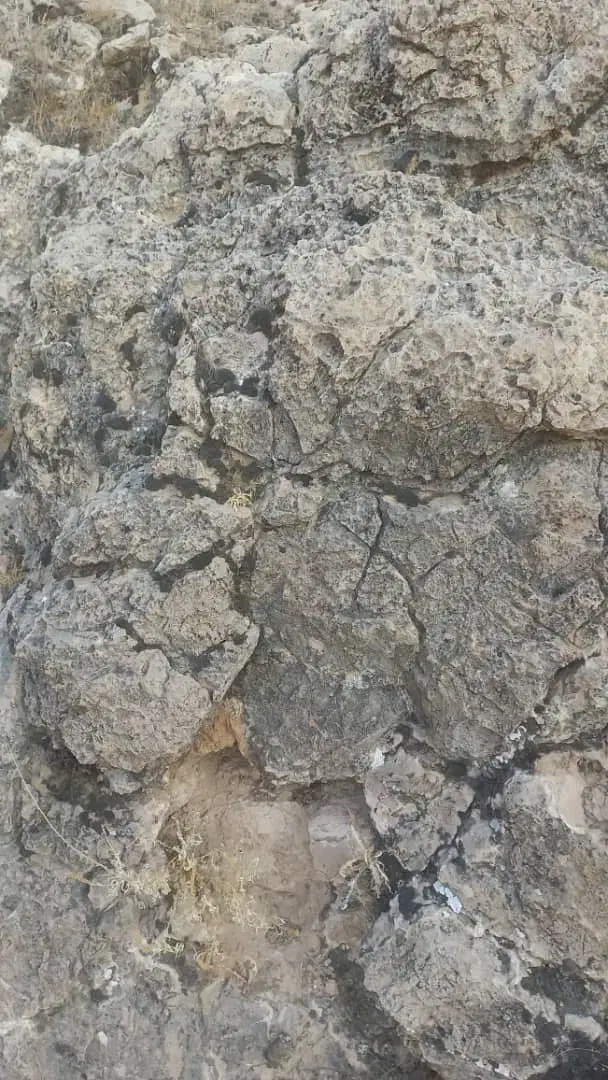 اشیا قیمتی کلکلسیونی|کلکسیون اشیاء عتیقه|شیراز, محمدیه|دیوار