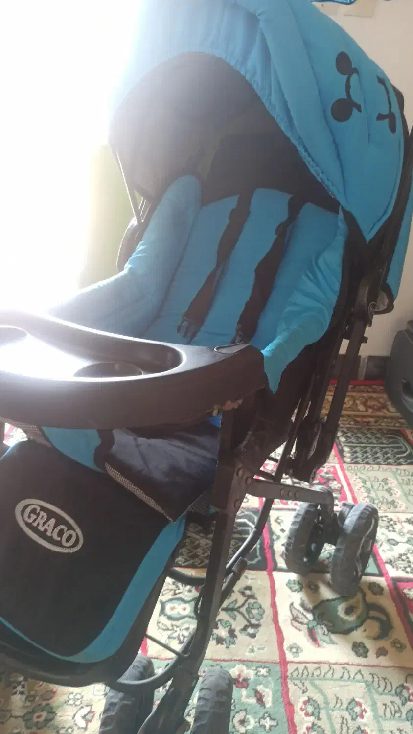 کالسکه و کریر|کالسکه و لوازم جانبی|لردگان, |دیوار