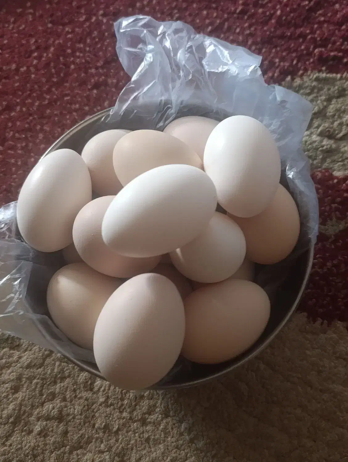 تخم مرغ عربی نطفه دار|خوردنی و آشامیدنی|اهواز, پادادشهر|دیوار