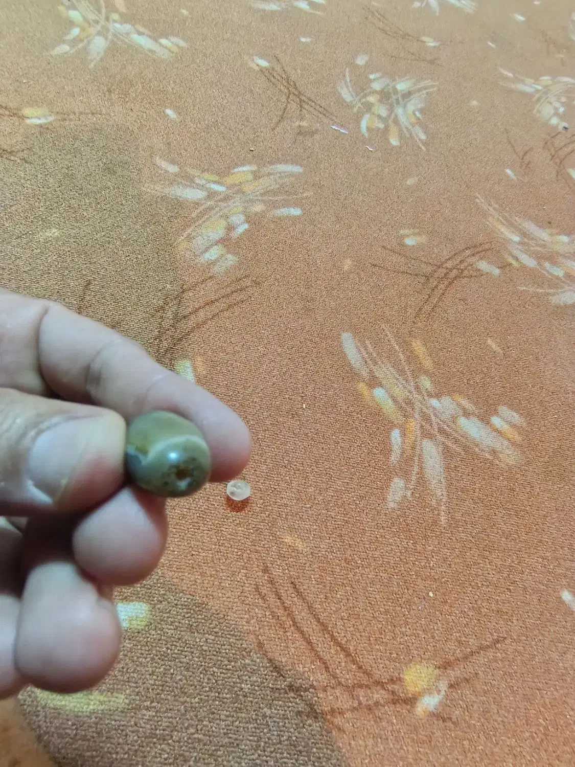 تعدادی سکه و پول نایاب و کمیاب و مهره های گبری|کلکسیون سکه، تمبر، اسکناس|تهران, مولوی|دیوار