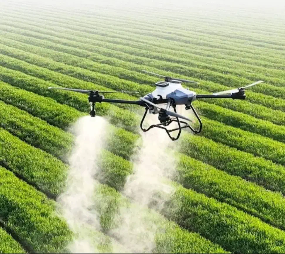 پهپاد سمپاشی|خدمات باغبانی و درختکاری|اهواز, امانیه|دیوار