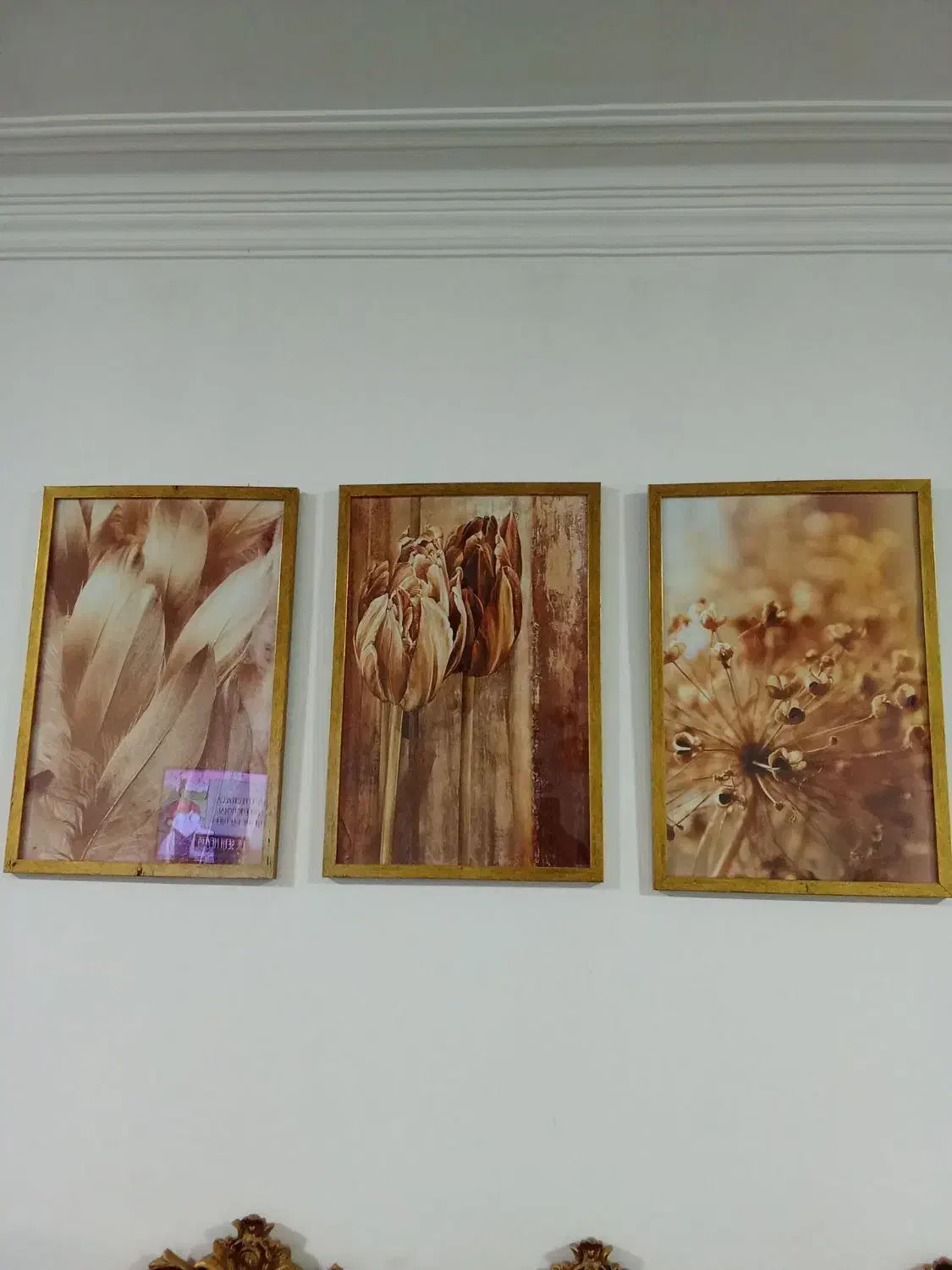 تابلو سه تیکه|تابلو، نقاشی، عکس|تربت جام, معدآباد|دیوار