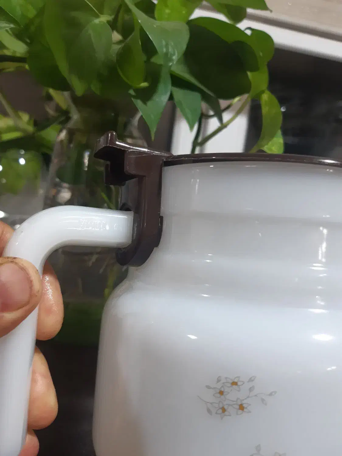 قوری ارکوپال|قوری، کتری، قهوهساز دستی|ری, دیلمان|دیوار