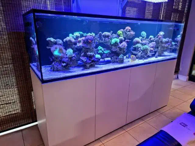 ساخت آکواریوم آب شور|ماهی|تهران, اسکندری|دیوار