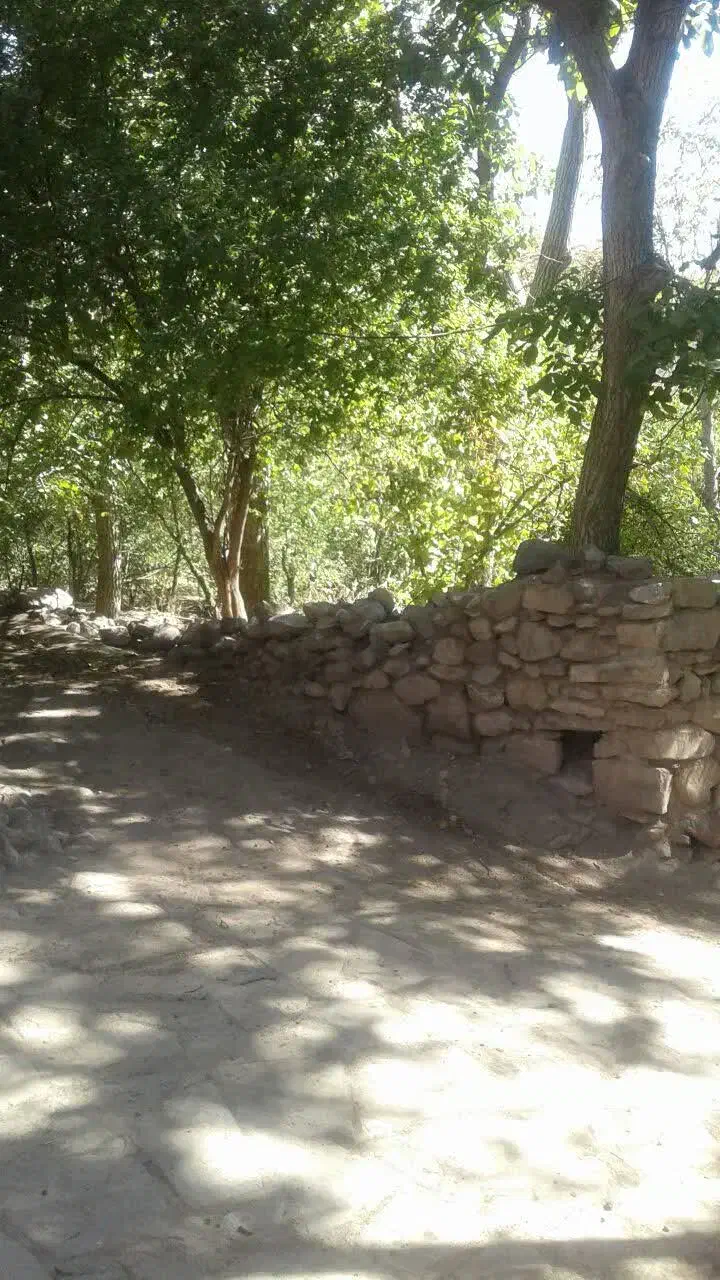 زمین در روستای شنگول آباد|فروش زمین و ملک کلنگی|تیکمه داش, |دیوار