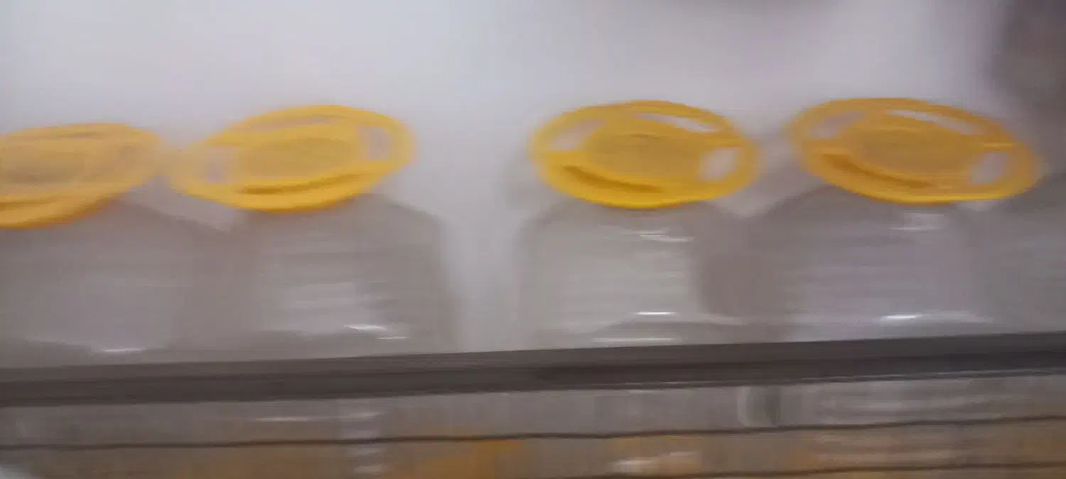 دبه ترشی|ظروف نگهدارنده، پلاستیکی، یک‌بارمصرف|رشت, پارک شهر|دیوار