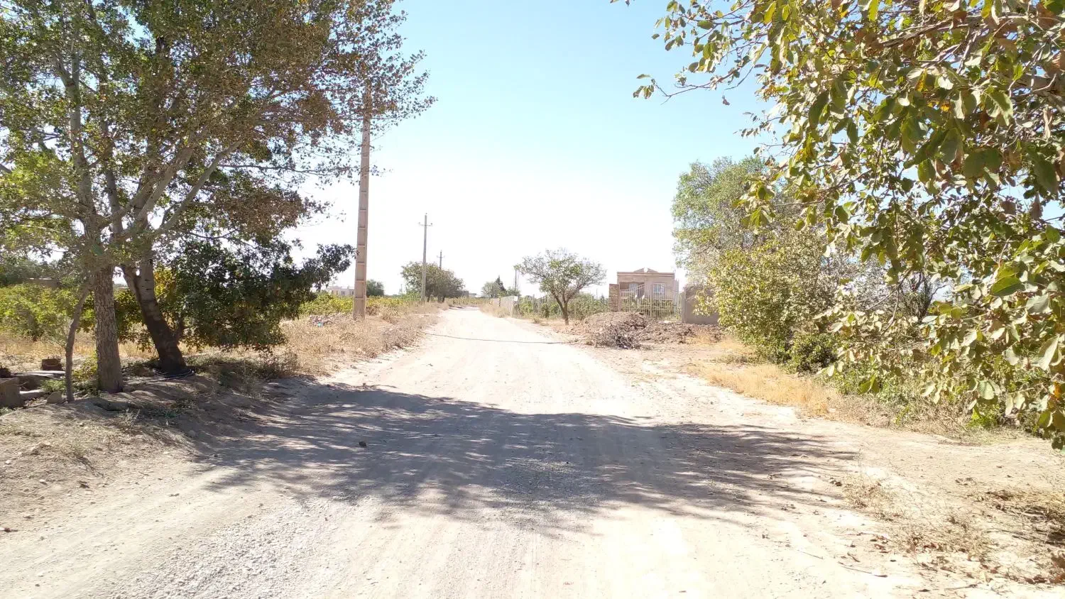 فرروش یک قطعه باغ سنددار|فروش زمین و ملک کلنگی|محمدشهر, همایون ویلا|دیوار