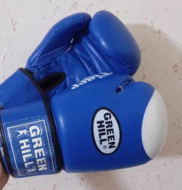 دستکش بوکس نو|تجهیزات ورزشی|سنندج, |دیوار