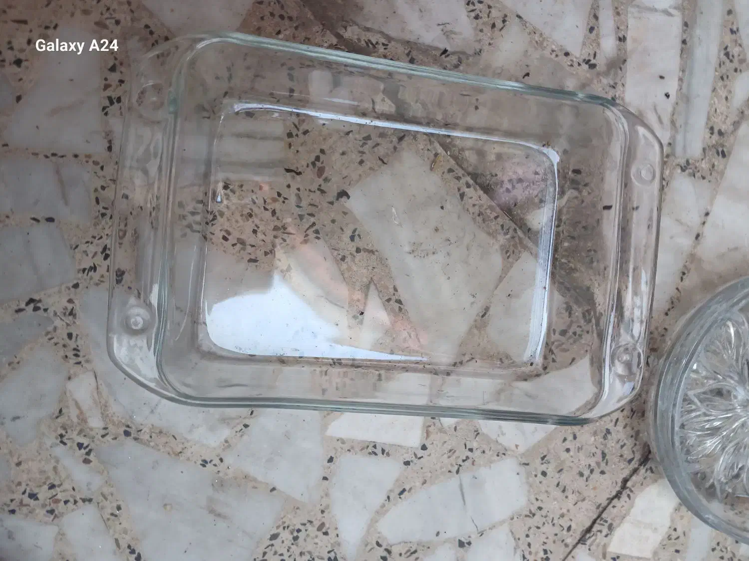 چینی جات|ظروف سرو و پذیرایی|رشت, حومه رشت|دیوار