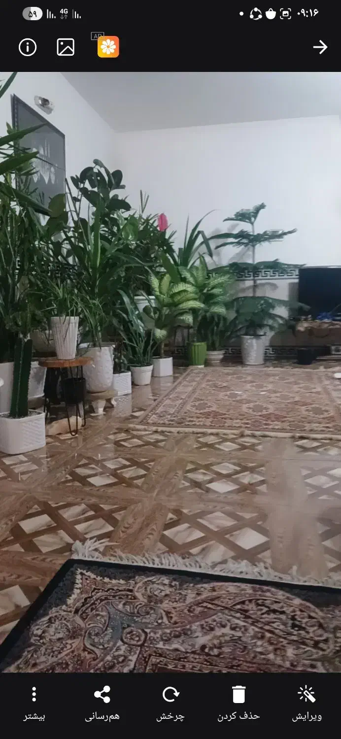 فروش گل وگیاه|گل و گیاه طبیعی|ورامین, ریحان آباد|دیوار