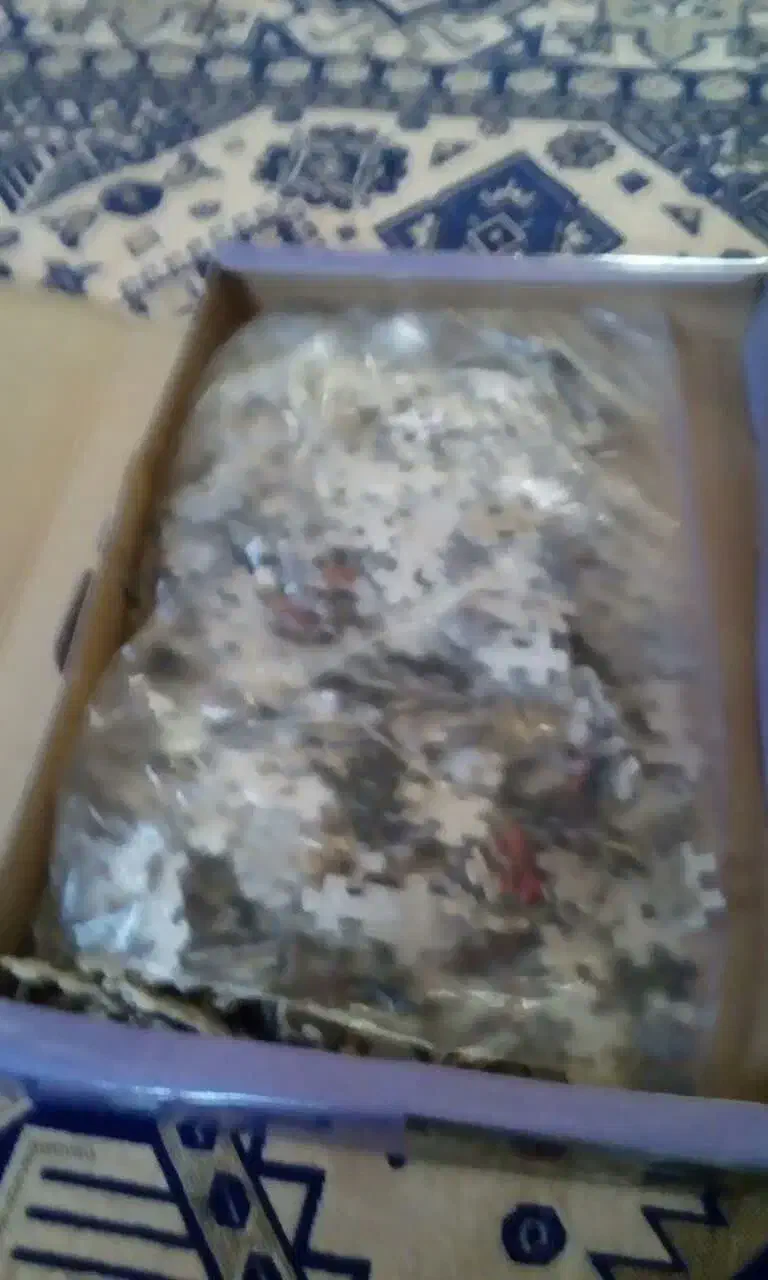 پازل هزار تکه|کلکسیون و سرگرمی|شریفآباد, |دیوار