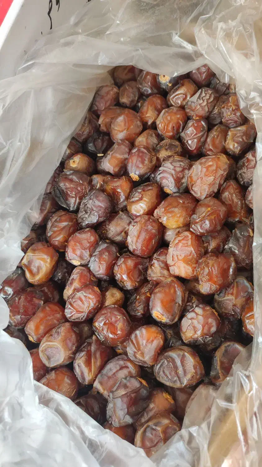 خرما برحی|خوردنی و آشامیدنی|شیراز, بازار|دیوار