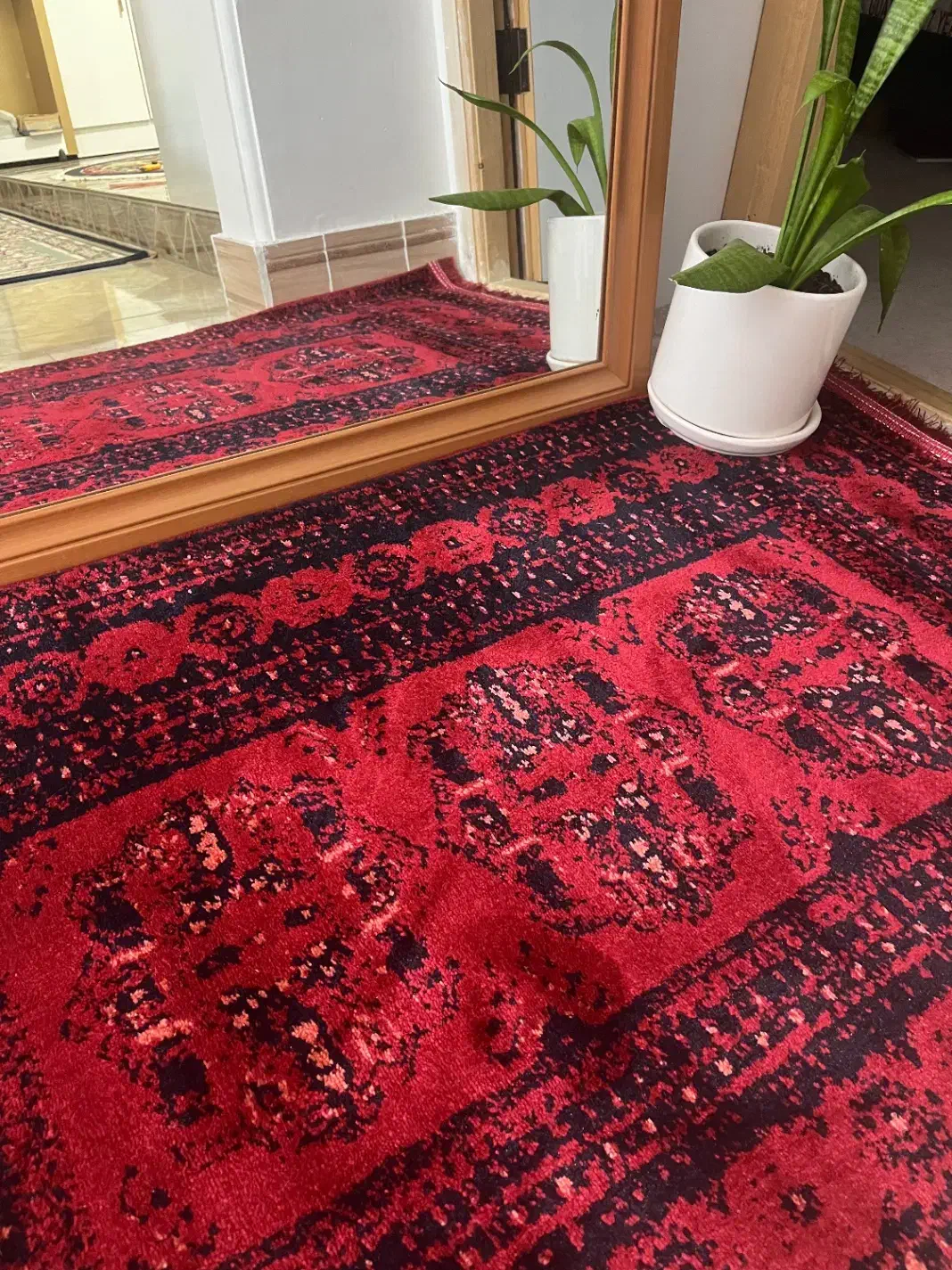 گبه قرمز طرح سنتی آمل|گلیم، جاجیم، گبه|آمل, |دیوار