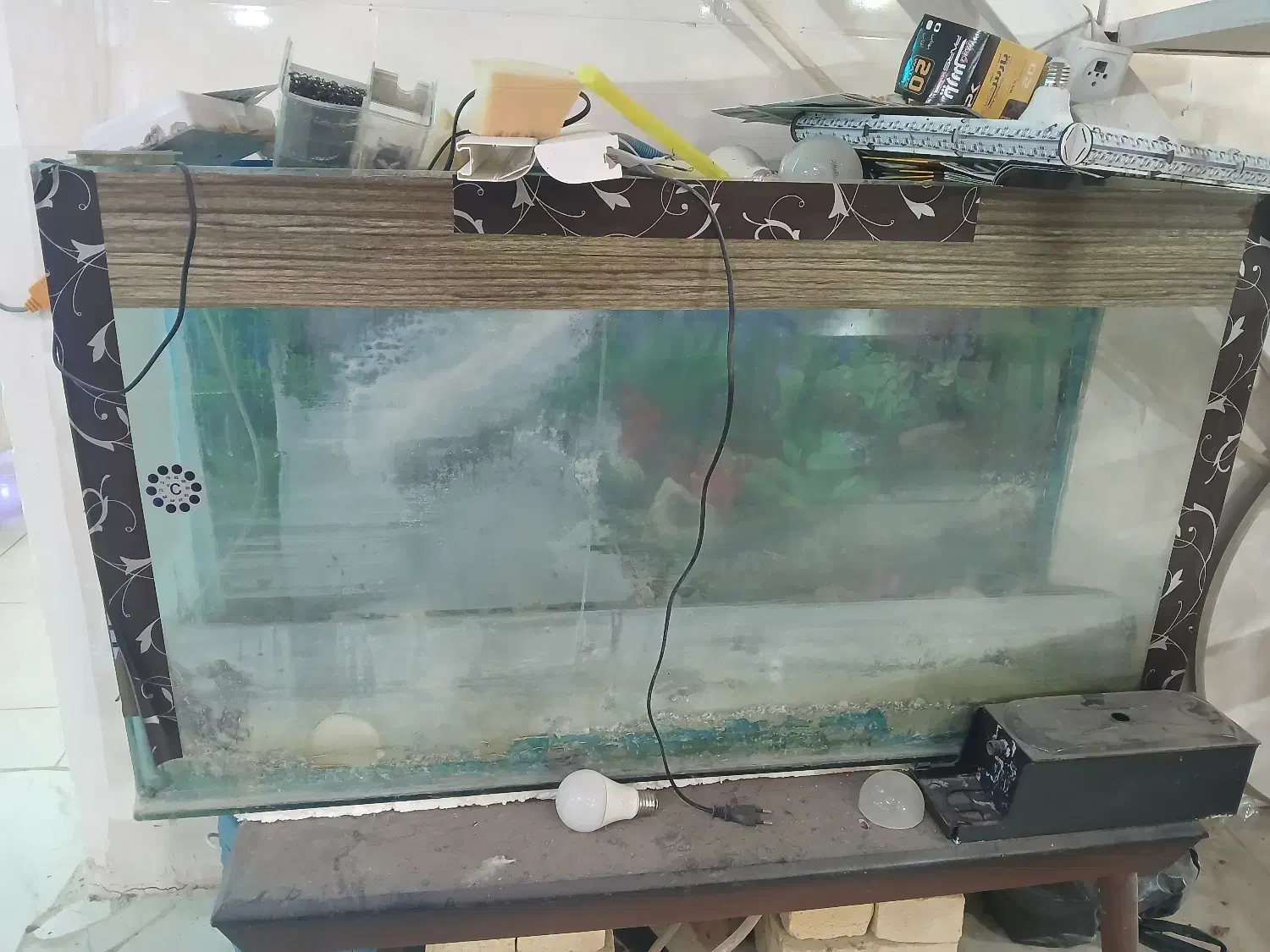 آکواریوم|ماهی|ملایر, |دیوار