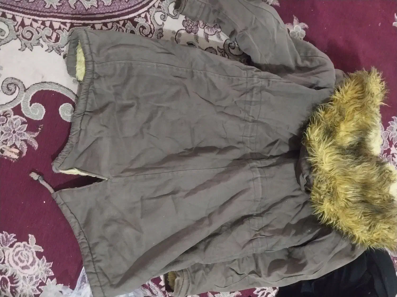 کاپشن|لباس|گرگان, |دیوار