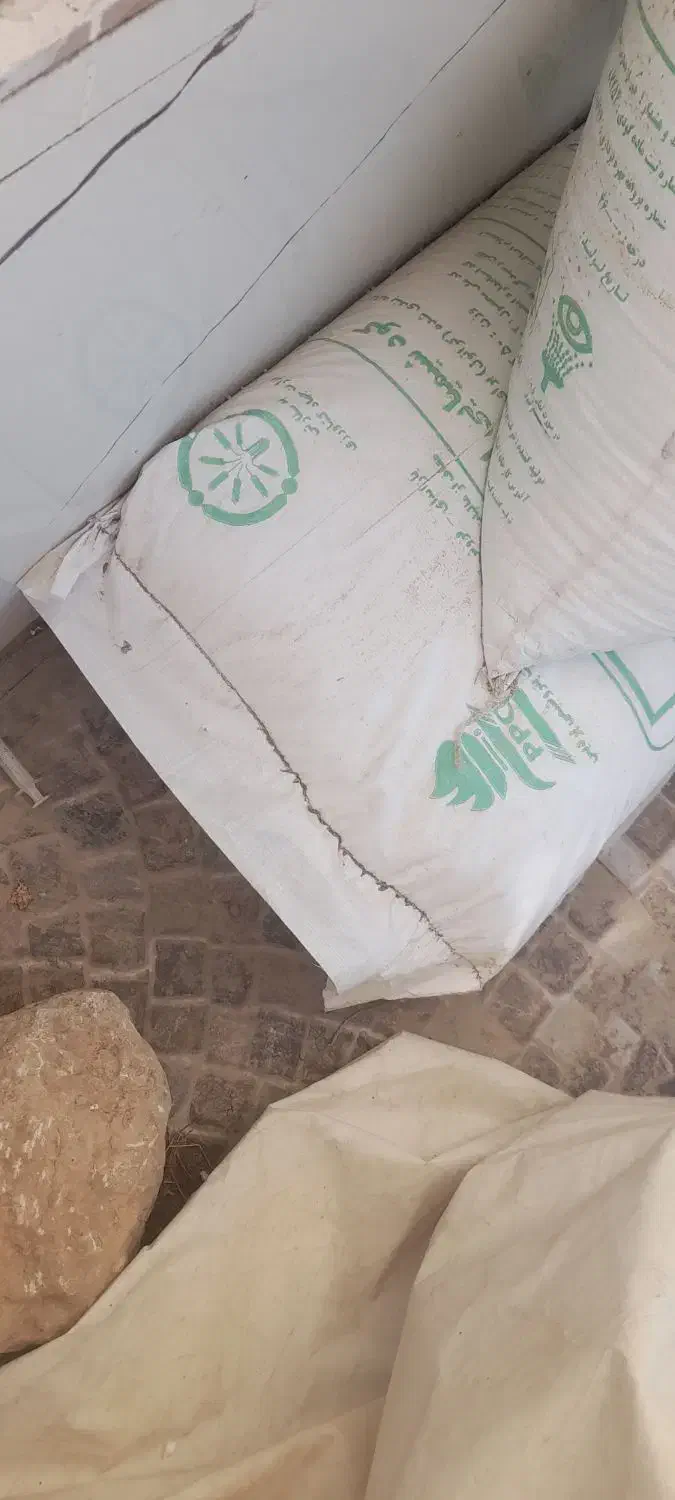 کودسفید پردیس فقط یه تومن|گل و گیاه طبیعی|کوهدشت, |دیوار