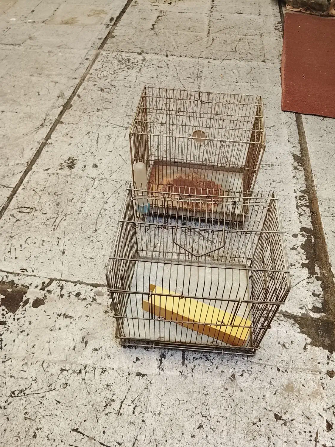 قفس|لوازم جانبی حیوانات|تهران, عباسی|دیوار