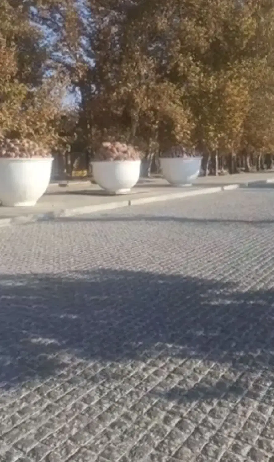 زمین خوش جا آینده دار|فروش زمین و ملک کلنگی|نجفآباد, شهدای غربی|دیوار