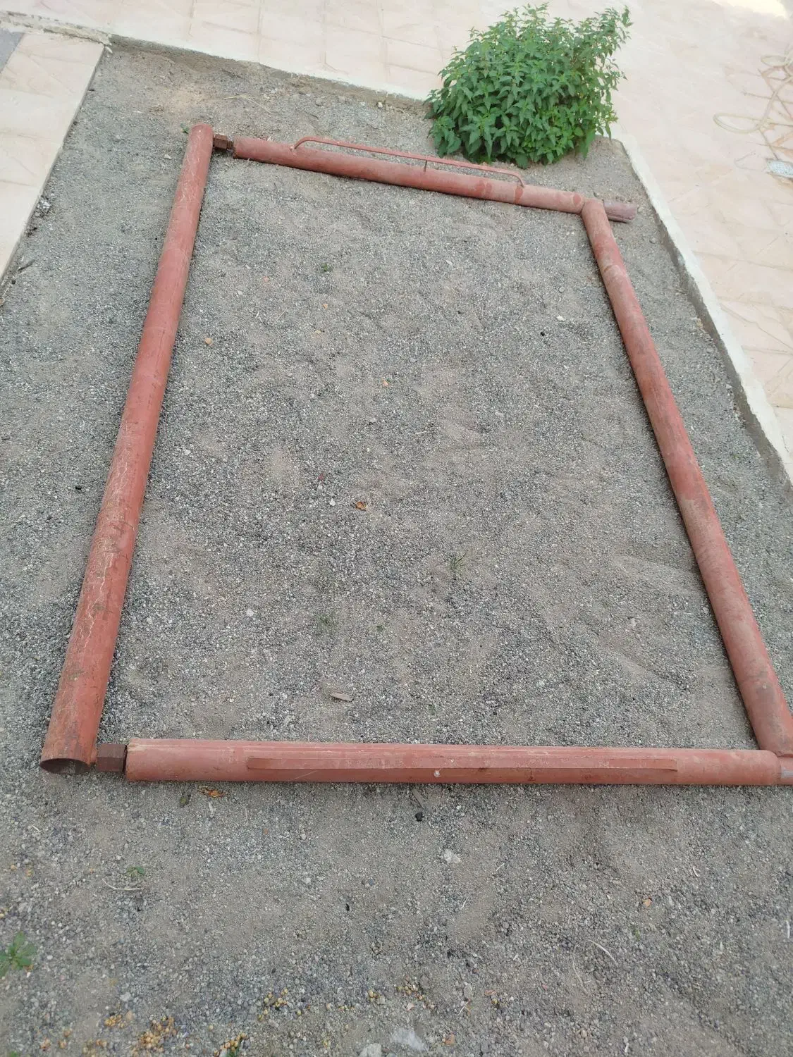 دار قالی|ابزارآلات|اهر, |دیوار