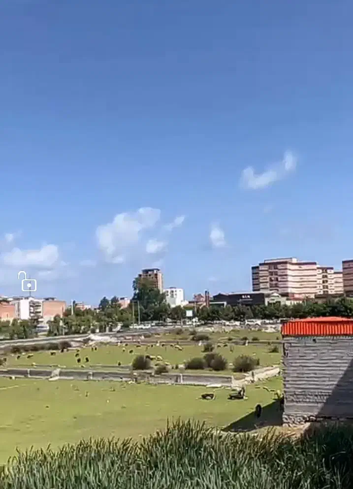 فروش یک واحد آپارتمان|فروش آپارتمان|فریدون‌کنار, |دیوار