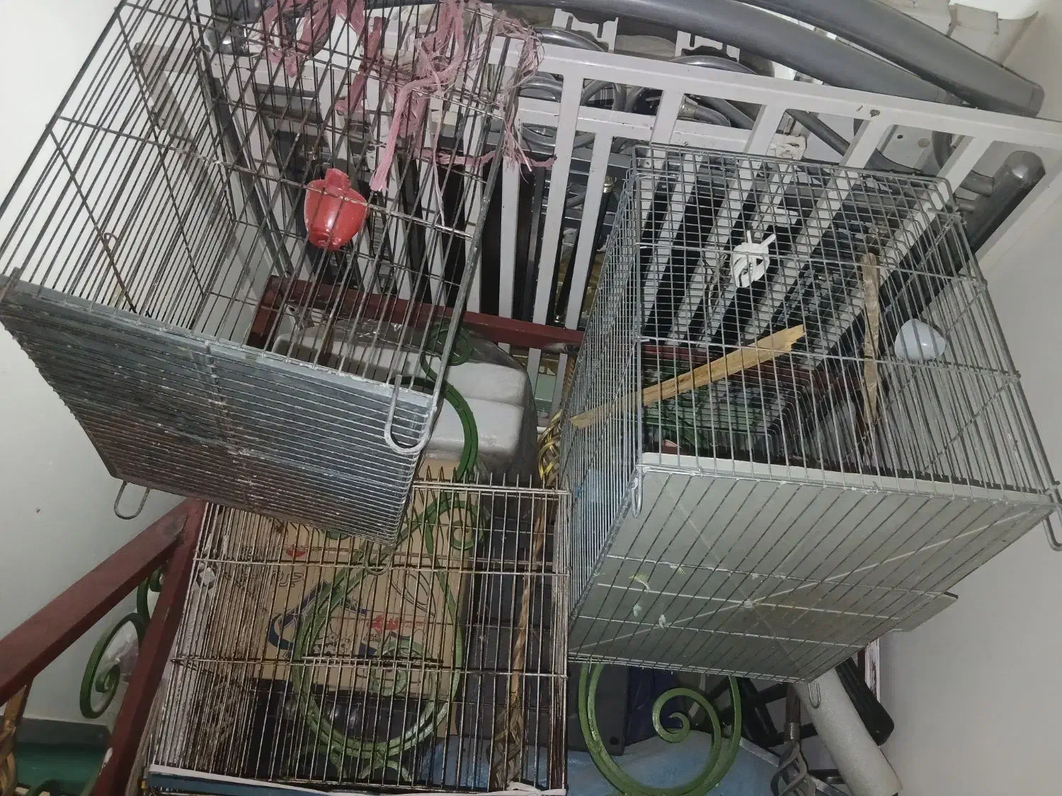 قفس سهره و قفس قناری|لوازم جانبی حیوانات|زرقان, |دیوار