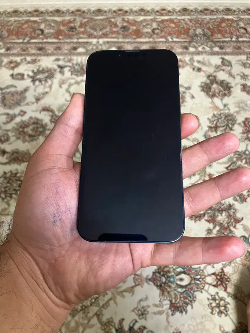 Iphone 13 normal 128 ch|موبایل|سبزوار, ولیعصر (نجار آباد)|دیوار