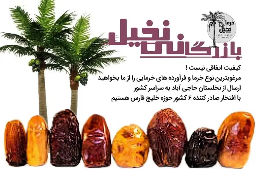 خرما عجوه وارداتی NAKHIL DATES COMPANY|خوردنی و آشامیدنی|تهران, شهرآرا|دیوار