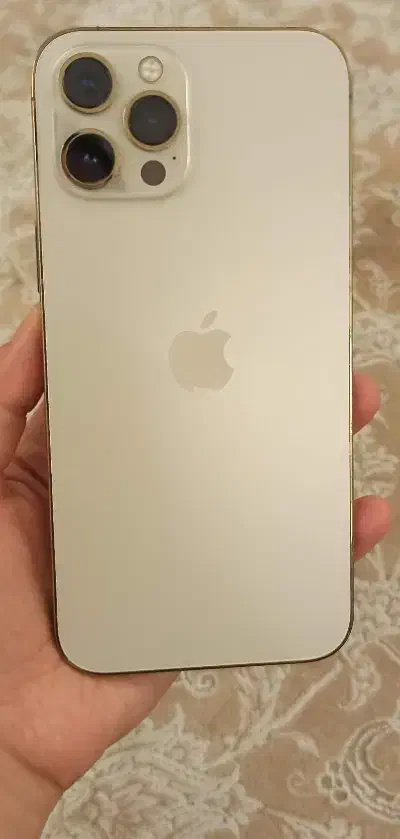 12پرومکس گلد درجه یک|موبایل|مبارکه, |دیوار