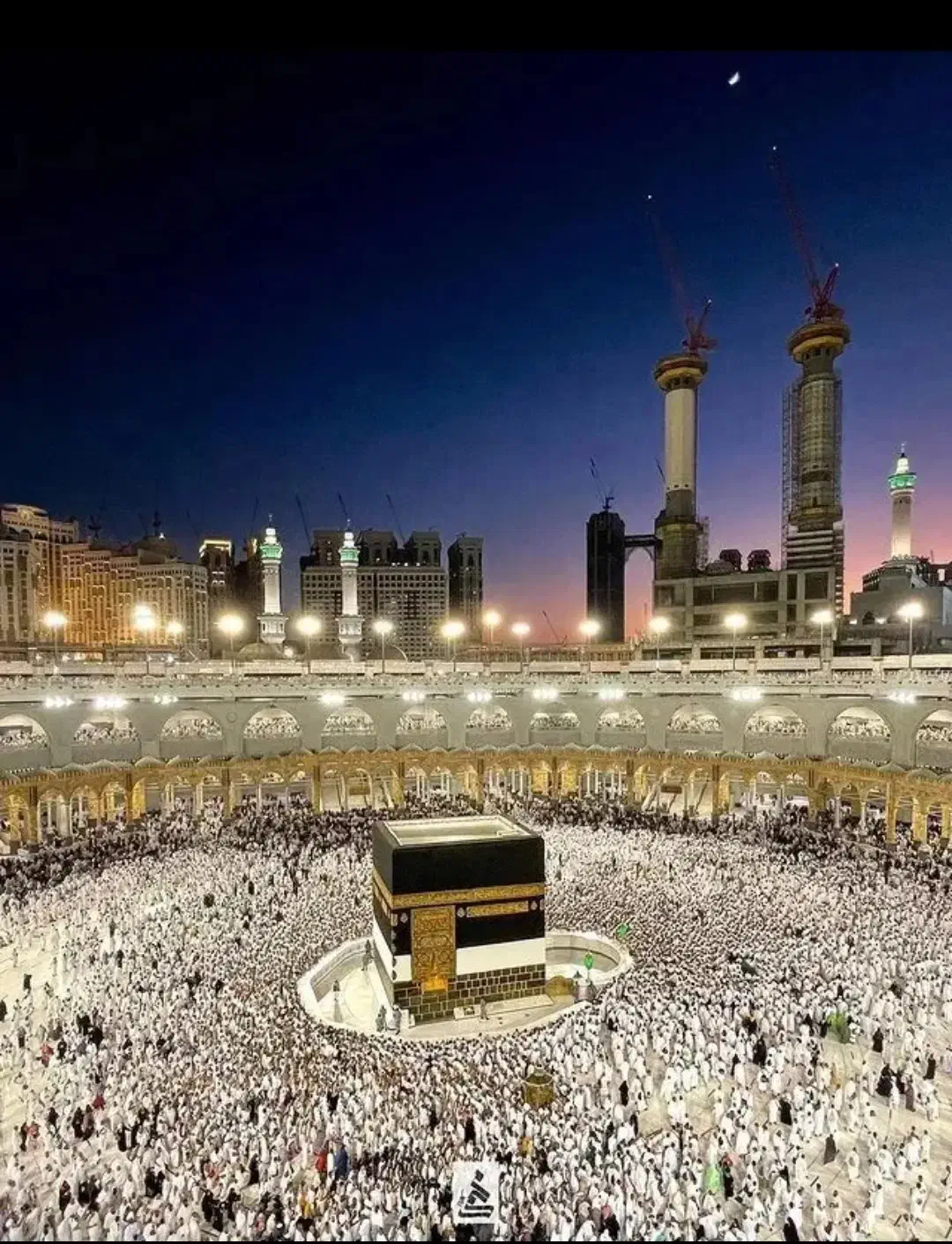 فیش حج تمتع|تور و چارتر|شاهین‌شهر, خبرنگار|دیوار