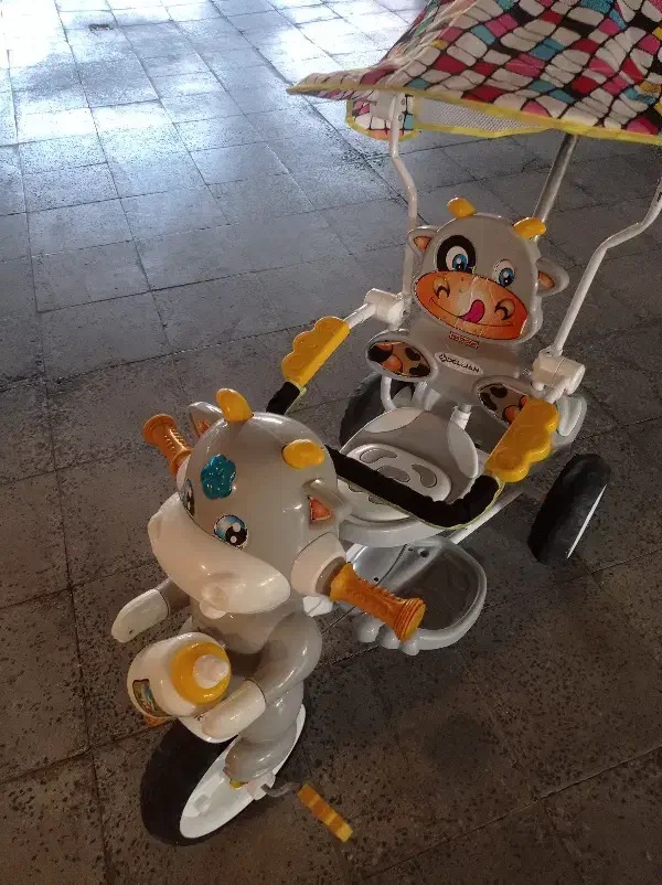 سه چرخه کودک|دوچرخه، اسکیت، اسکوتر|اراک, |دیوار