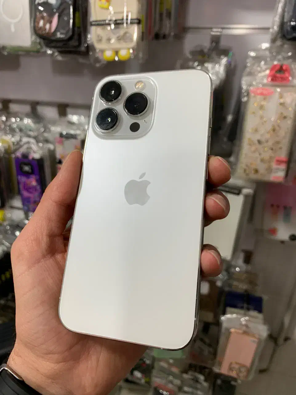 آیفون 13 پرو|موبایل|سردشت, |دیوار