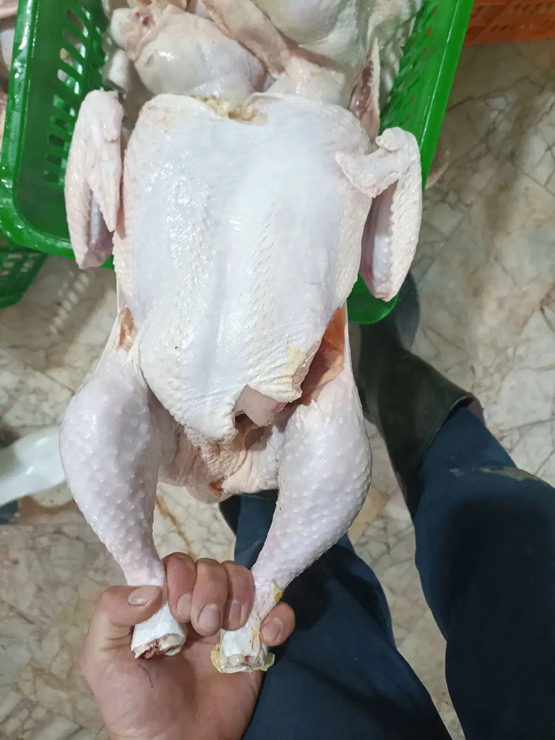 ران مرغ شنسل|خوردنی و آشامیدنی|مشهد, شیرحصار|دیوار