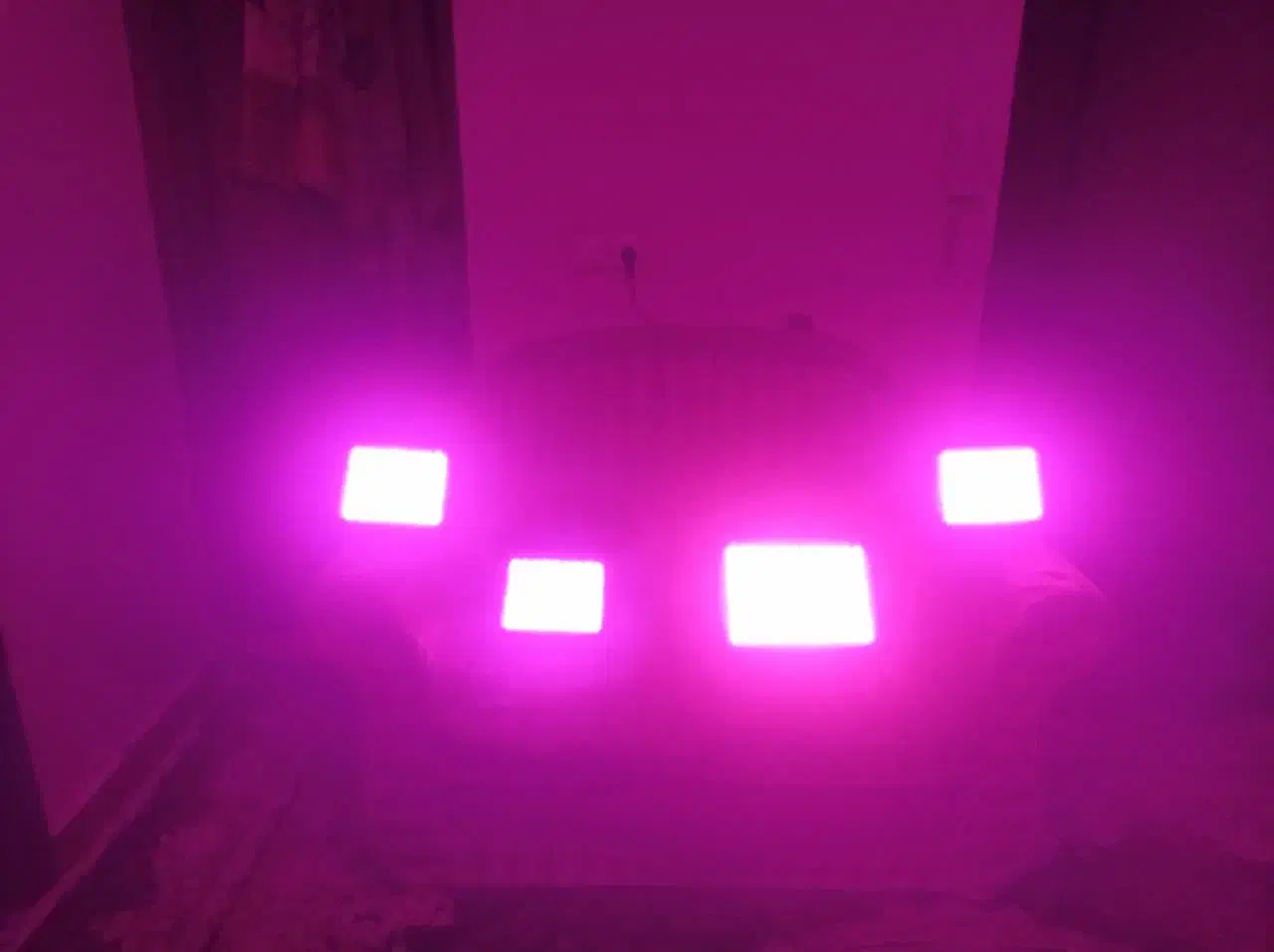 4عدد پرژکتور خیلی قوی بنفش|لامپ و چراغ|شاهینشهر, گزبرخوار|دیوار